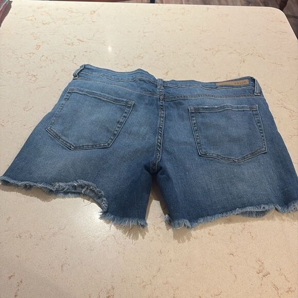Cello Blue Distressed Jean Shorts High-Waisted SZ Xlarge - Picture 10 of 11